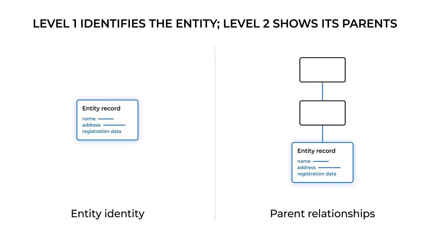 Side-by-side comparison of LEI Level 1 entity identity data and Level 2 parent relationship data.